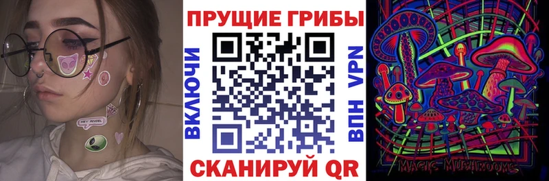 Галлюциногенные грибы GOLDEN TEACHER  Купить закладки  Фрязино 